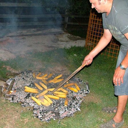 Tourist Farm Pri Martinovih Βίλα Krška Vas Εξωτερικό φωτογραφία