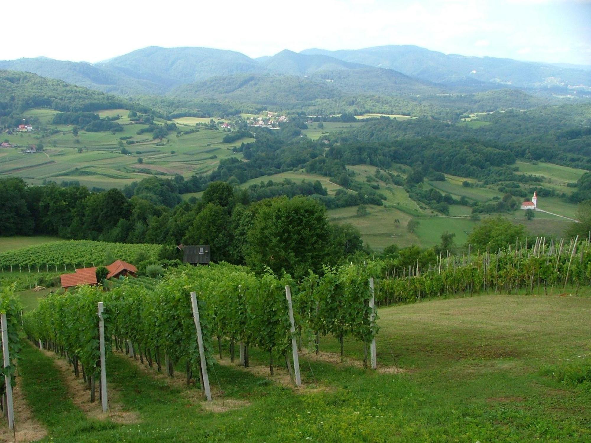 Tourist Farm Pri Martinovih Βίλα Krška Vas Εξωτερικό φωτογραφία